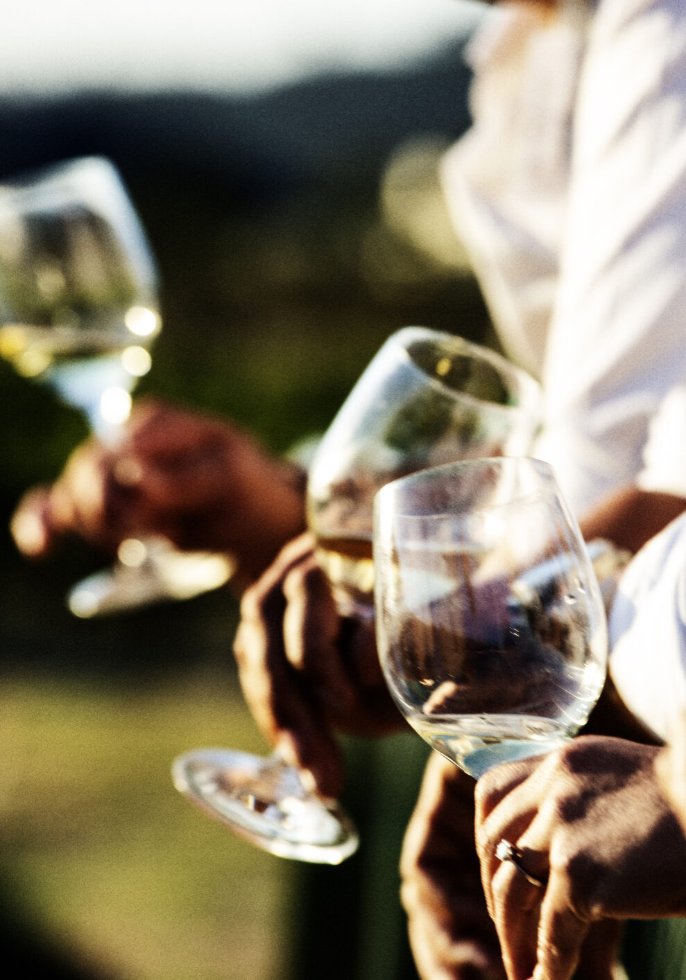 Toasting with wine