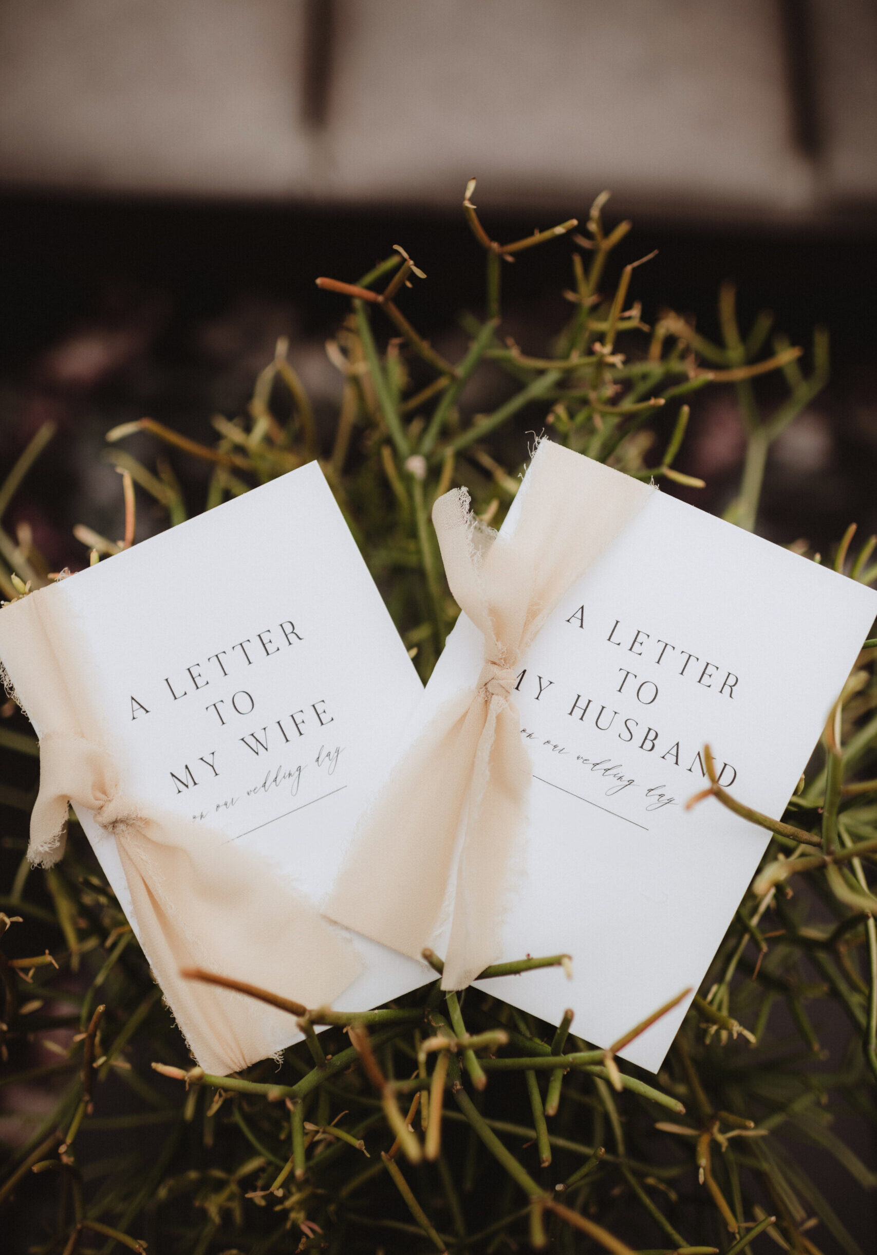 Wedding ceremony vows in booklet with chiffon ribbon